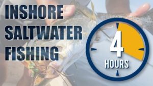 fishing charters, best on the mississippi gulf coast entertainment outdoors