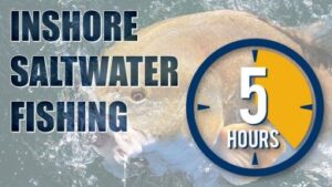 fishing charters, best on the mississippi gulf coast entertainment outdoors