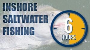 fishing charters, mississippi gulf coast outdoors nature discover