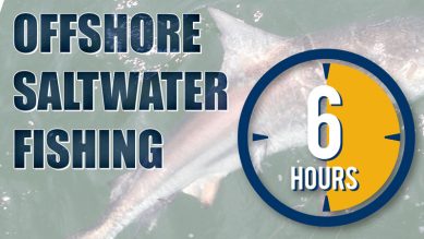 half day or full day fishing charters, best on the coast, serving vaction experiences