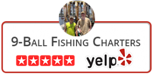 9-ball fishing charters 5 stars on yelp holiday experience mississippi gulf coast
