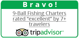 9-ball fishing charters is a top rated holiday experience mississippi gulf coast