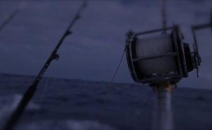 9 Ball Fishing Charters - best charter fishing in mississippi