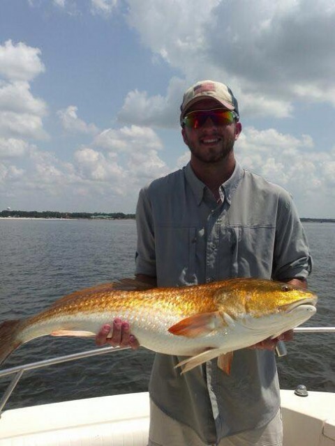 11760254_10153505939691913_8160518281682376174_n