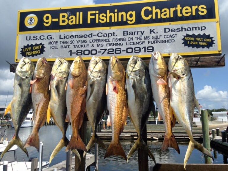 13627106_10154340388301913_8513331022961523070_n Mississippi Gulf