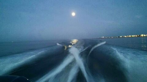 13754196_10154372108056913_7960035509187915283_n