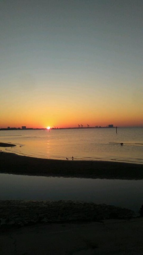 18424064_10155337466666913_2253794624584317843_n