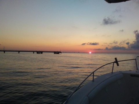 18527737_10155349501356913_1085889751865228090_n