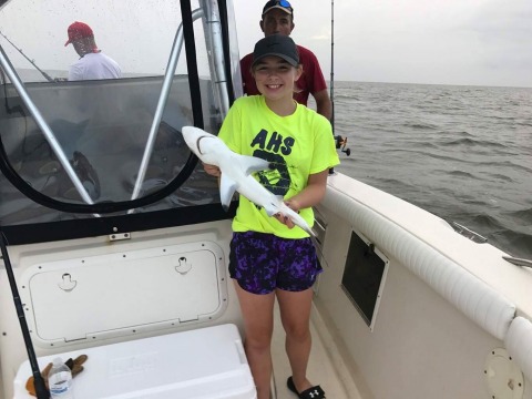 20287053_10155597946516913_4102610244594912874_o