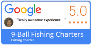 9-ball fishing charters 5 stars on goolge charter fishing experience mississippi gulf coast